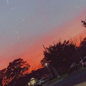 Meet your Posher, Charlotte